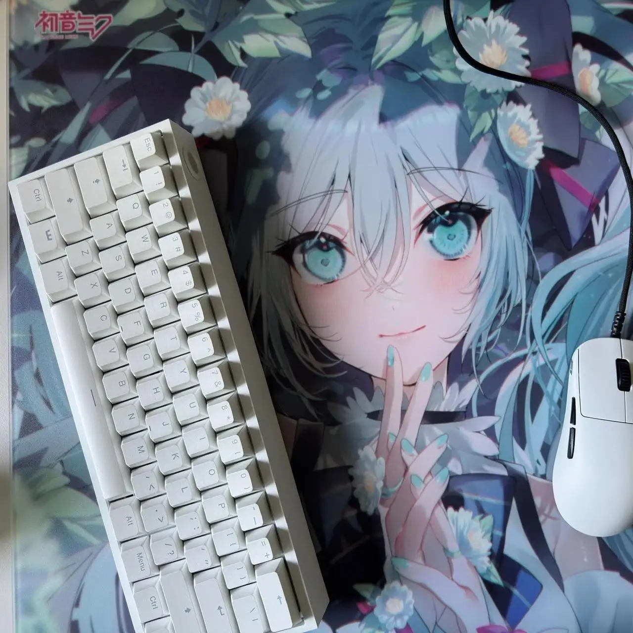 Imagem -02 - Miku-e-sports Fps Vidro Temperado Mouse Pad Gorila Copiar Wallhack4.0