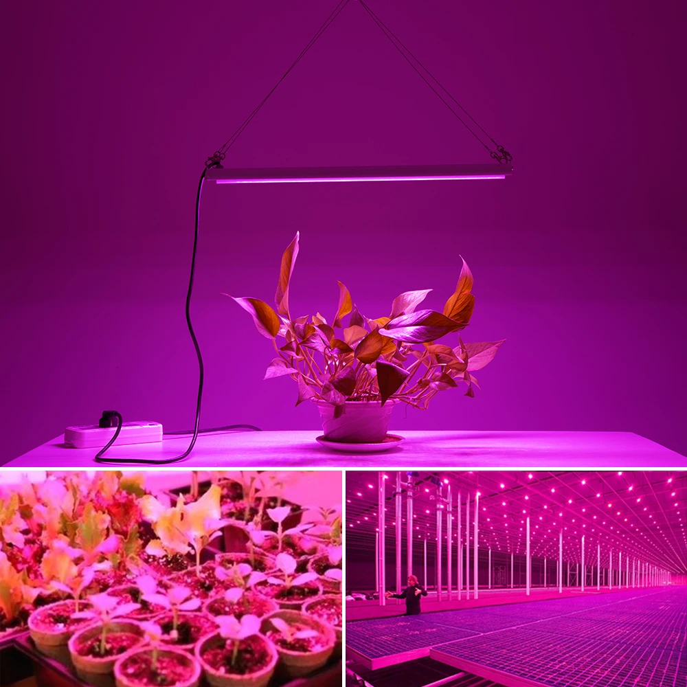 Imagem -06 - Led Cresce a Luz para Plantas de Interior Espectro Completo 400830nm Phyto Lâmpada Ac85v265v de Poupança de Energia Crescer Lâmpada para Estufa Hidropônica