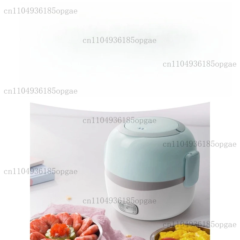 Electric Lunch Box Steamed Vegetables with Rice Portable Artifact Office Workers Multifunctional Heating Self-heating Bento Box