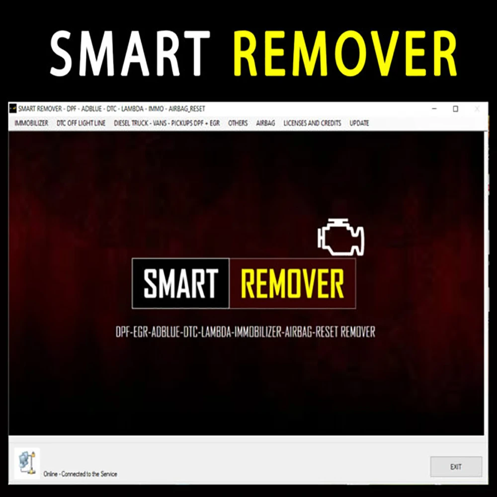 SMART REMOVER Tools Online V1.30.26.0 IMMOBILIZER DTC OFF CATALYTIC LAMBDA LIGHT LINE 2022 Mulit Remove Function Software