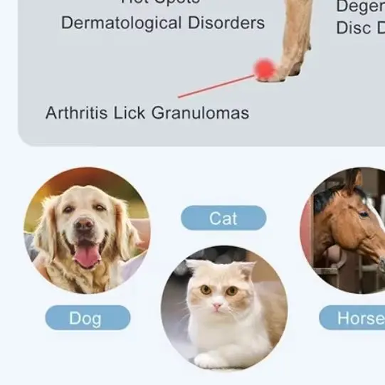 

Портативный аппарат для холодной лазерной терапии для животных, длины волны 650 нм и 808 нм, ветеринарное применение при артрите, боли в суставах и коже