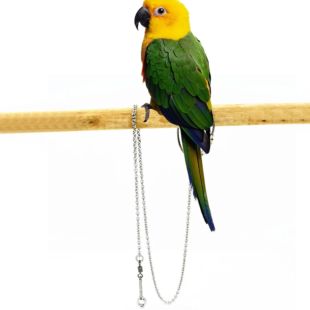 Stainless Bird Parrot Foot Chain with Swivel Buckle Pet Parrot Leg Ring Ankle Parrot Bird Ring Outdoor Flying Training Activity