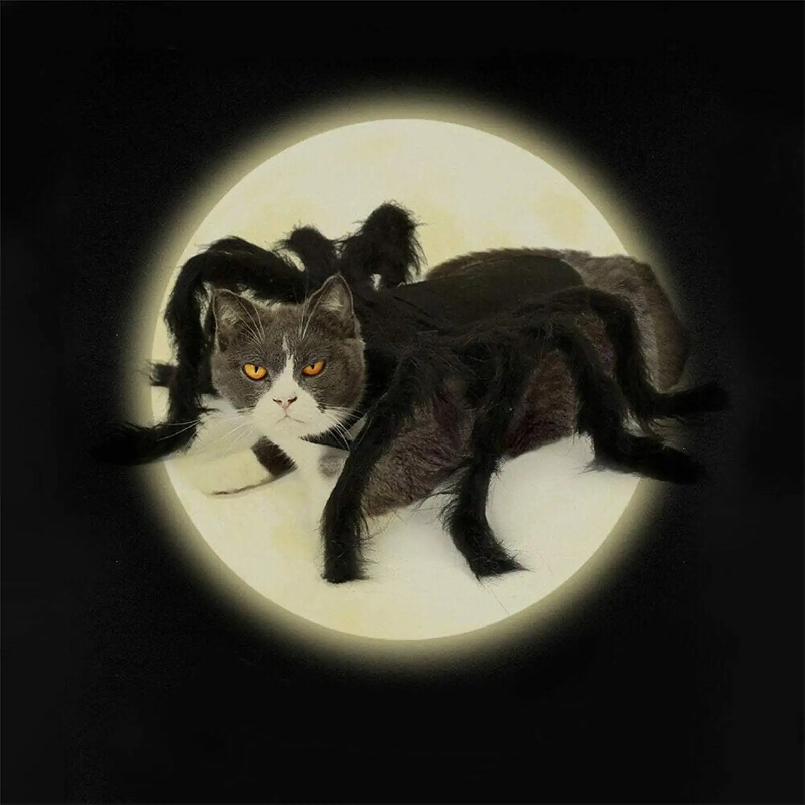 

Костюм паука на Хэллоуин, страшная имитация наряда, одежда для косплея паука, товары для домашних животных, одежда для Хэллоуина