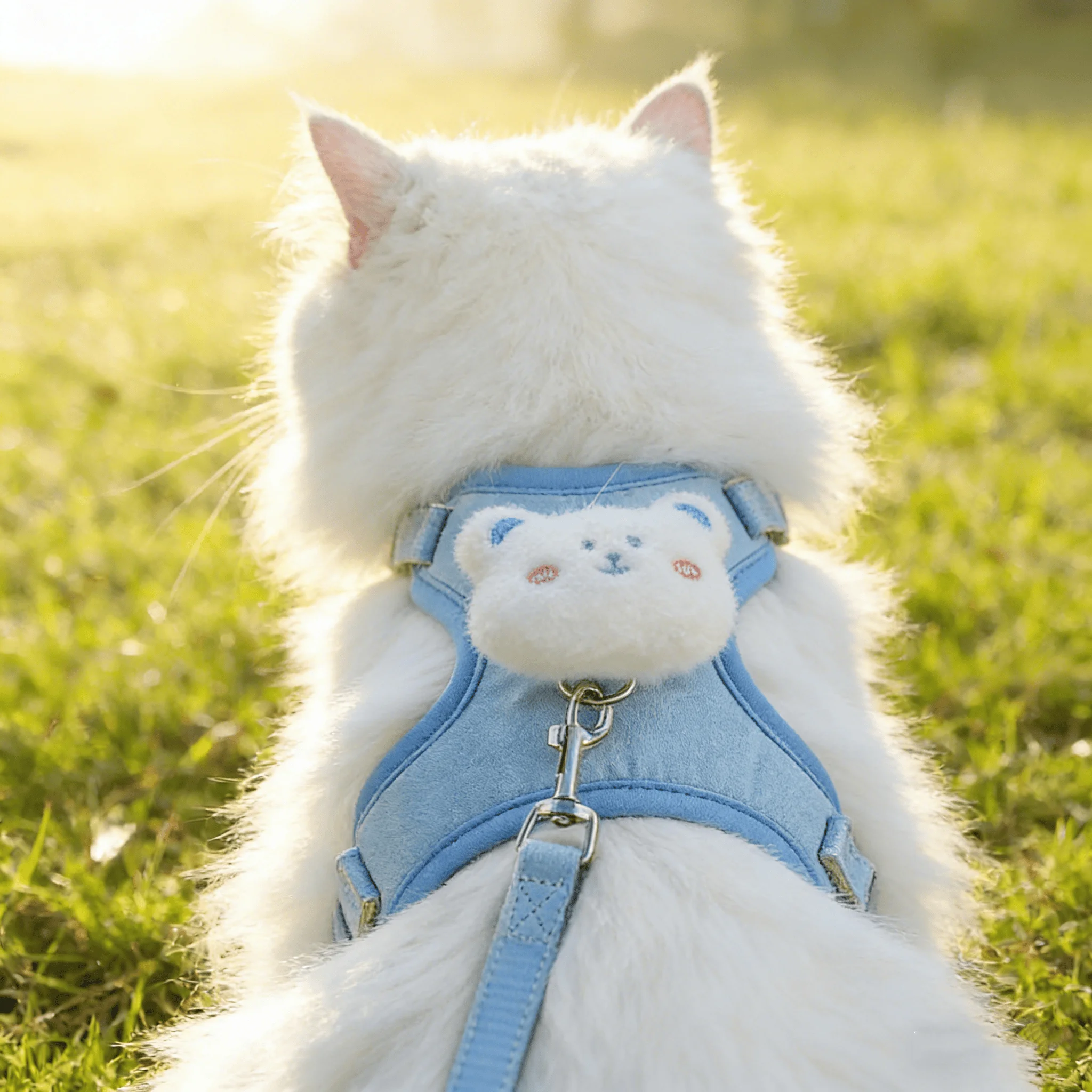 Sommer Niedlichen Tier Harness Leine Set Atmungsaktive Anti-Verloren Hund Brustgurte Cartoon Einstellbare Haustier Gehen Geschirre Blei Haustier – Detail 3