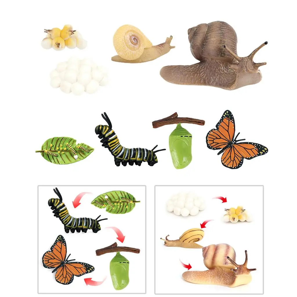 2 Set Simulation Butterfly Snail Growth Model Playset Child Learning Toys