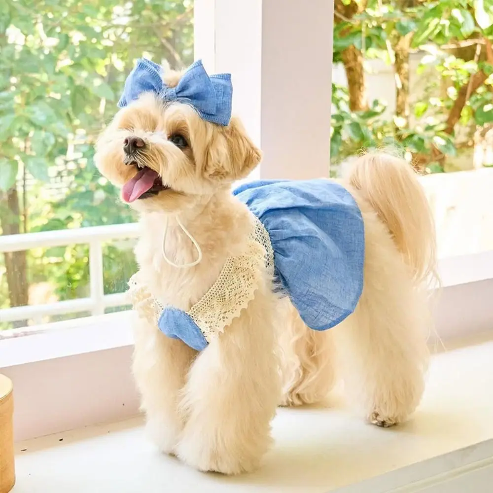 

Pet Supplies Lace Pet Lace Denim Dress Breathable Thin Pet Clothes Comfortable Soft Dog Vest Small Animal