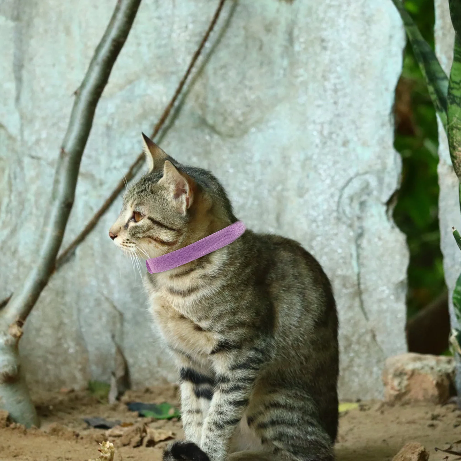 

12 Colors 35Cm Adjustable Id Nylon Pp Material For Dog Cat Puppy Kitten Whelping Bands Collars Small Pets Adjustable Pet Collar