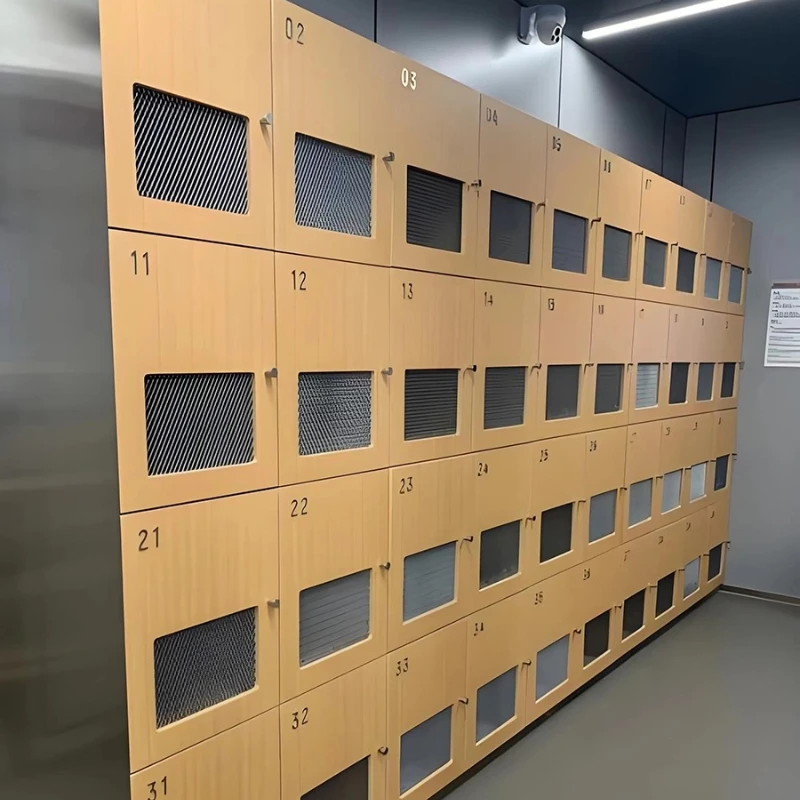Grid perspective cabinet door storage changing cabinet gym yoga room special member cabinet
