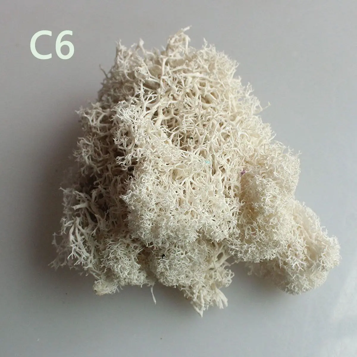 

Wedding Accessories DIY Wedding Christmas Decoration Flower Micro Landscape Reindeer Moss Eternal Life Moss Artificial plant