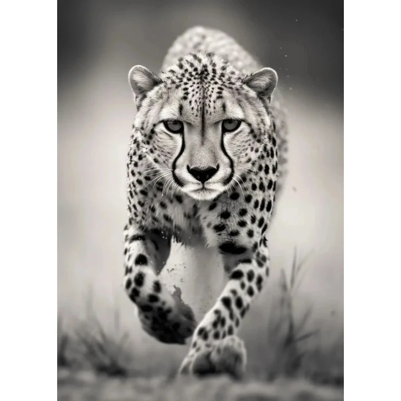 2026 Black and White Animal Poster Tiger Elephant Deer Cheetah Bull Horse Canvas Painting Prints Wall Art Room Home D Frameless