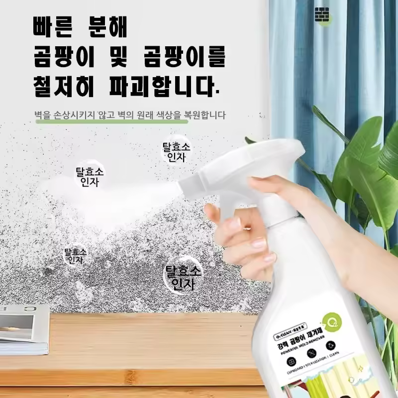 1. 몰드 곰팡이 제..