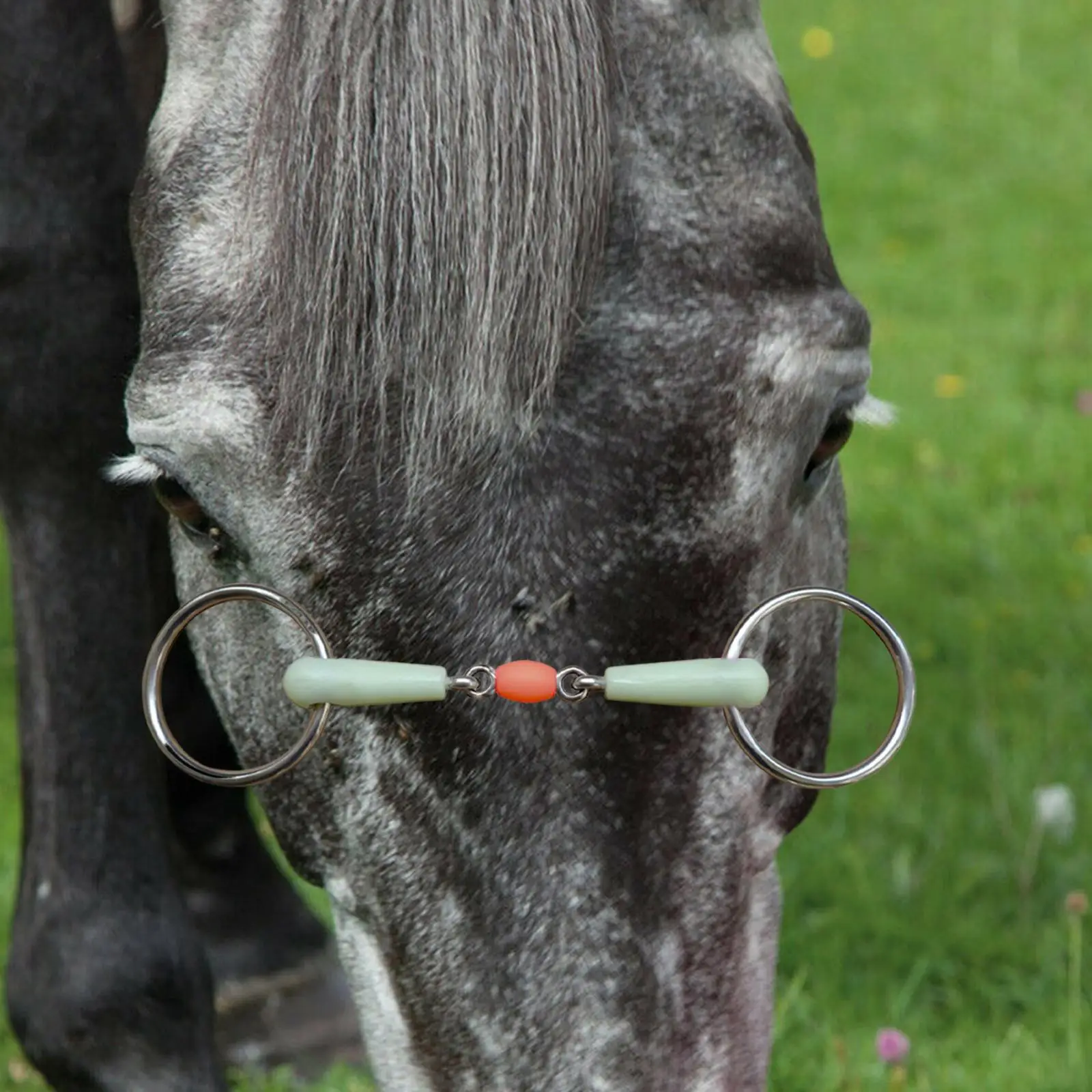 Horse Mouth Jointed Mouth Harness Equine Comfort for Performance Horse Bridle