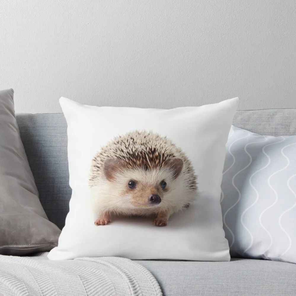 

Cute Baby Hedgehog Looking Sideways Throw Pillow Cusions Cover Decorative Sofa Cushions Cushion Cover For Sofa pillow