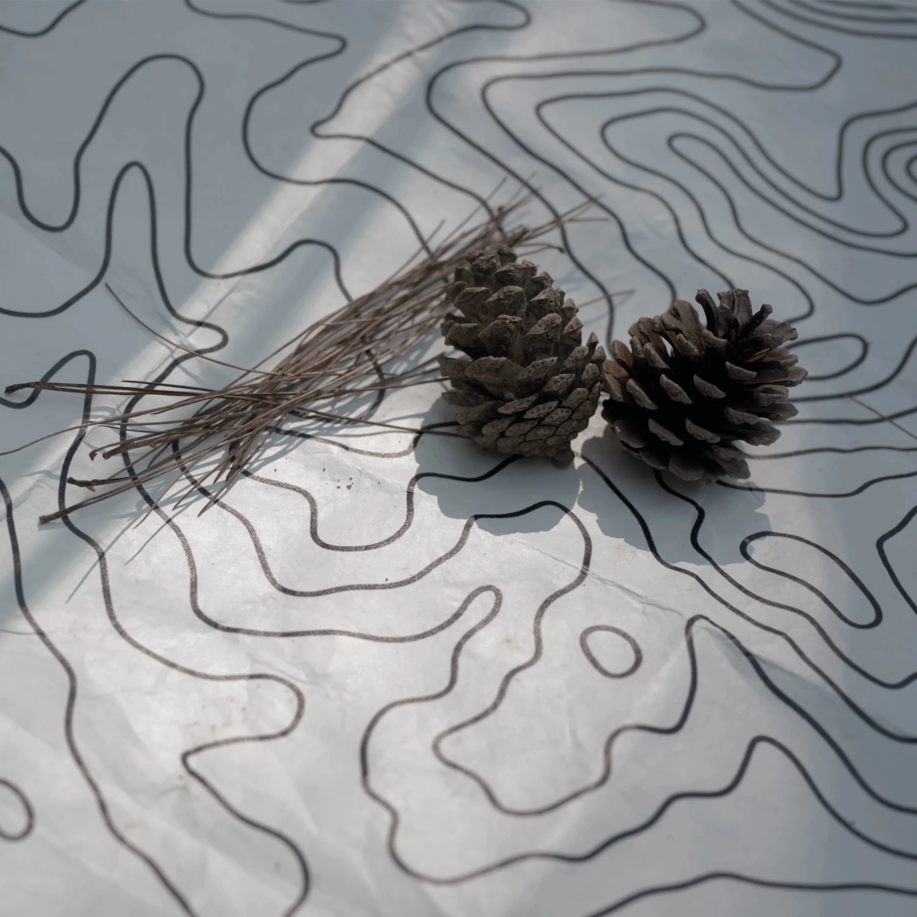 Thumbnail 2 - #31 Compare Tent Footprints Before You Buy