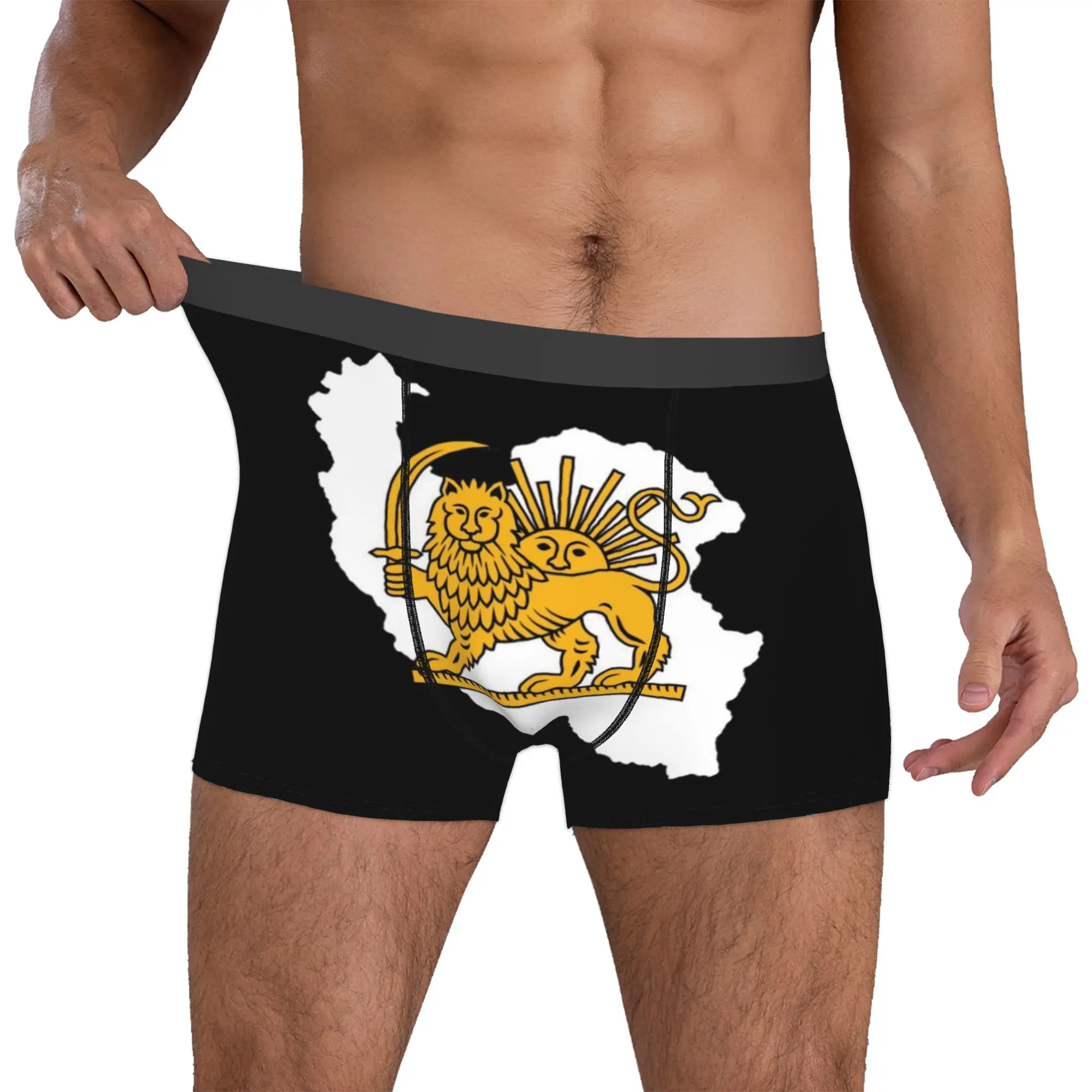 

Custom Iran Flag Persian Winged Lion Underwear Men Print Boxer Shorts Panties Briefs Soft Underpants