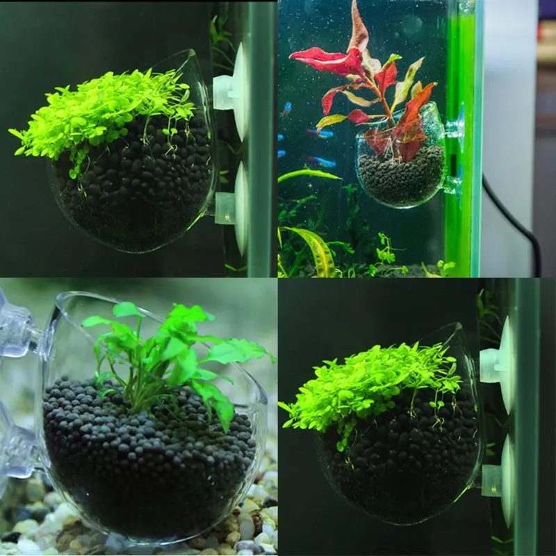 Clear Aquatic Plant Cup With Suction Holder Glass Plant Cup Pot Vase Red Worm Feeder for Fish Tank Aquarium Aquascape Decoration