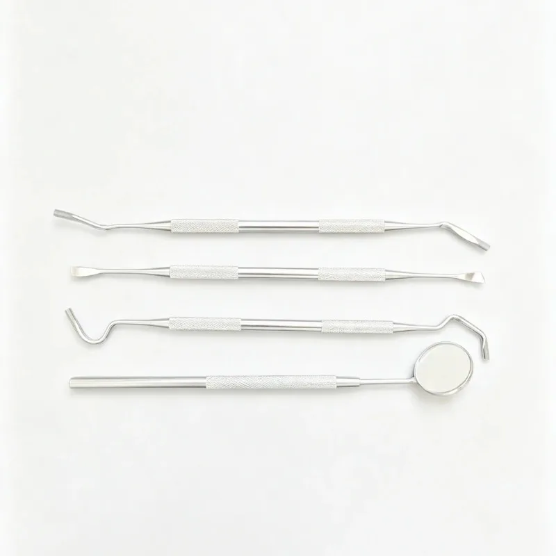 Dental Oral Care Tool Set Tartar Remover with Endoscope Probe Dental Stain and Calculus Cleaner Exclusively for Dentists