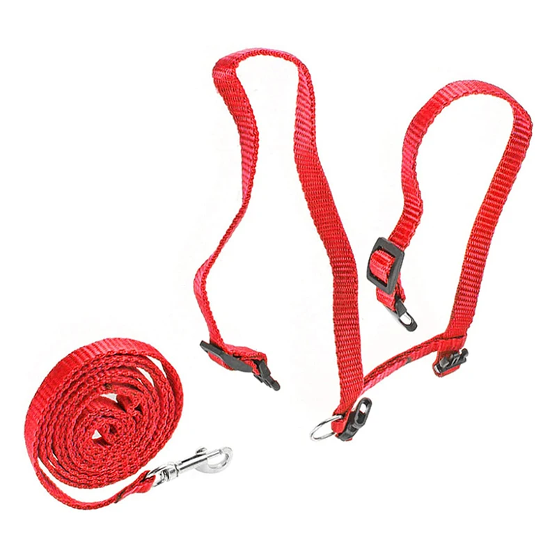 Escape Proof Cat Set of Harness and Lead -Soft Adjustable Nylon Leash Best for Kitten Rabbits Puppy Walking