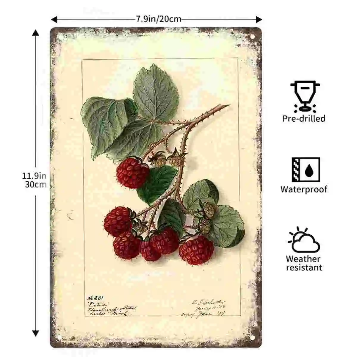 2D FLAT 1pc Botanical Raspberry Vine Metal Wall Sign Decoration for Home Cafe Garage Bedroom Porch And Garden