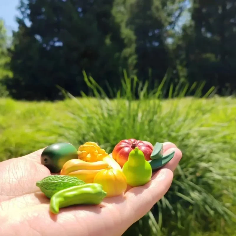 pumpkin balsam pear gourd bergamot  wax gourd/vegetable/miniature/cute/fairy garden gnome/moss terrarium decor/bonsai/doll house