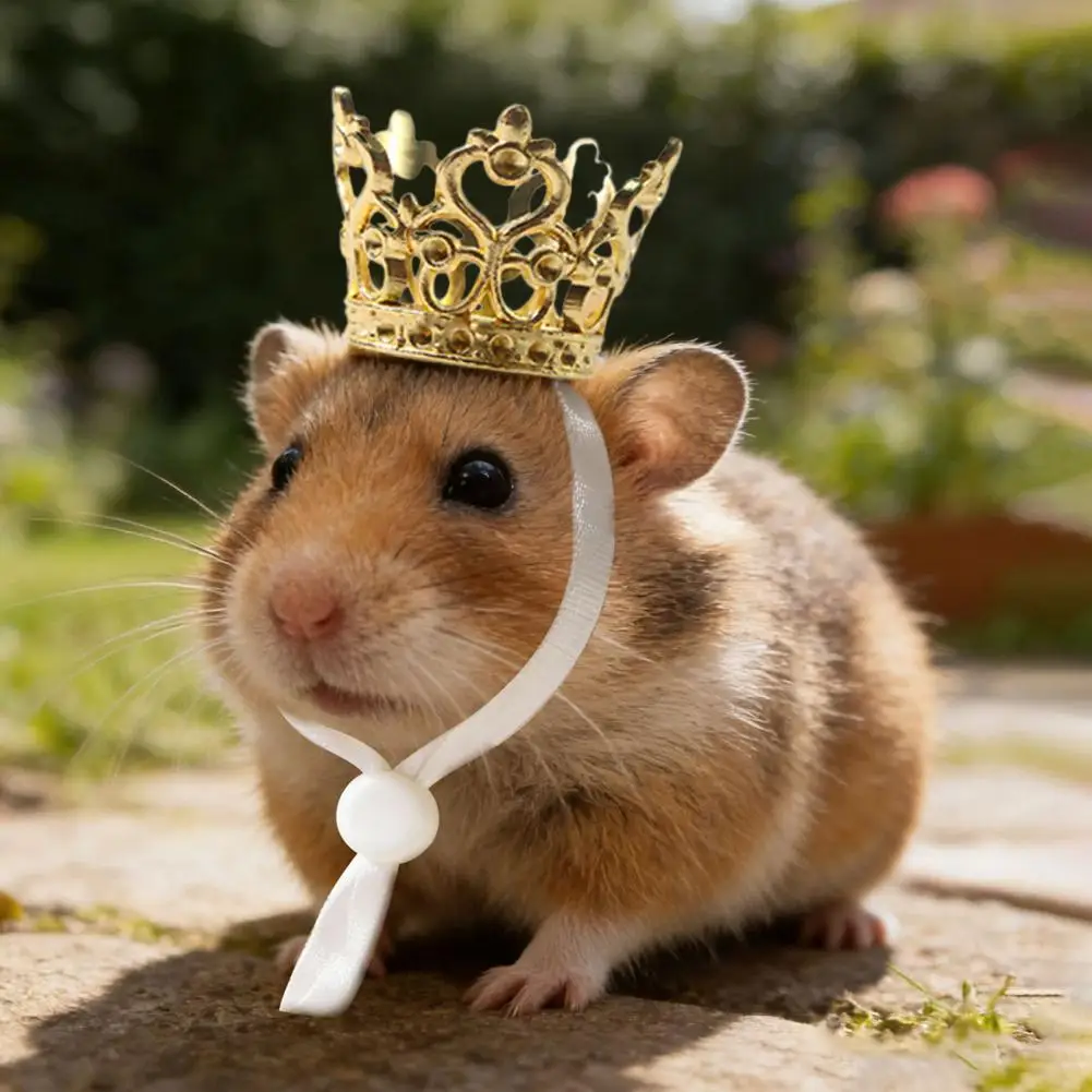 

Shining Fashion Hamster Crown,Adjustable Strap, Headwear Accessories For Guinea Pig Parrots Rabbits Supplies,Birthday Accessory