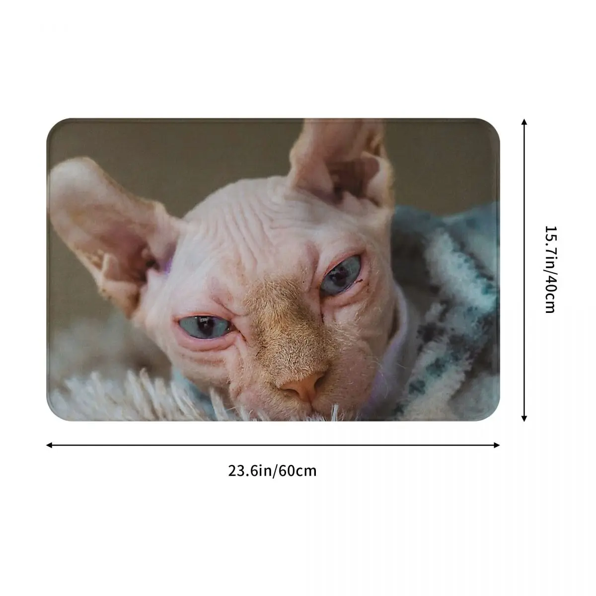 Sphynx Hairless Cat Bath Mat Sphynx Cat Doormat Flannel Carpet Entrance Door Rug Home Decoration