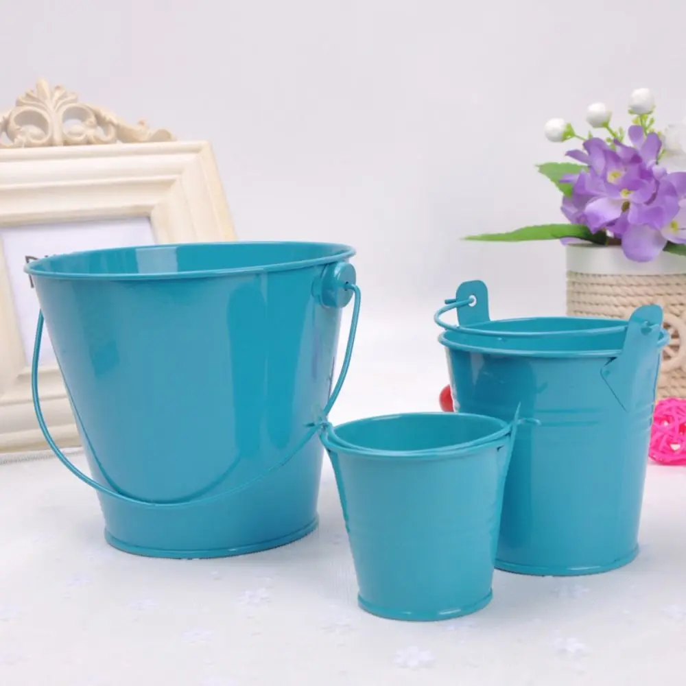 Wall Hanging Bucket Tinplate Iron Flower Pot Pastoral Hook Flower Barrel Miniatures Mini Iron Art Tinplate Water Bucket Kids Toy