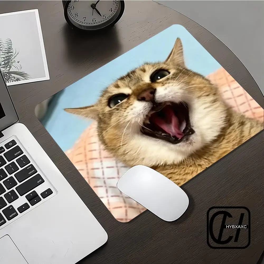Funny Meme Cute Cat Toletole Meimei Mouse Pad Small Size Gaming Gamer Company Keyboard Mouse Carpet Computer Desk Mat HYBXXC