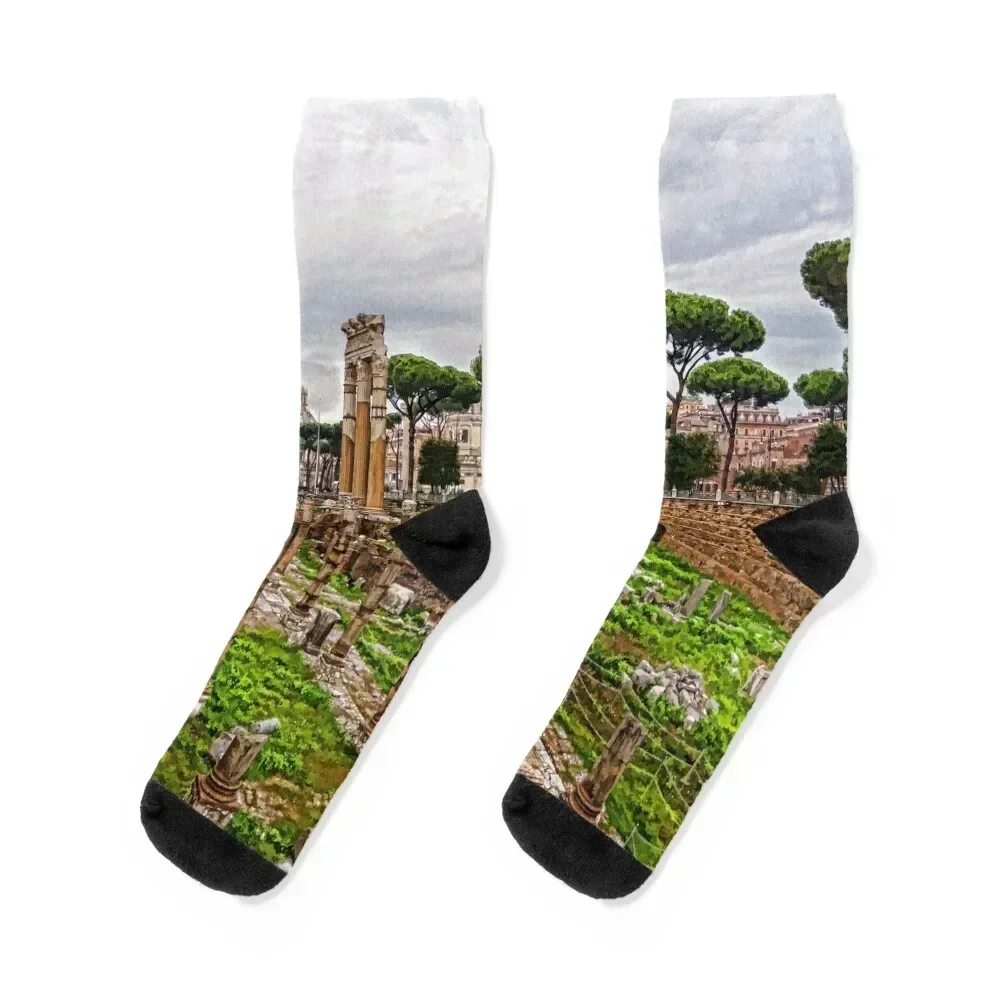 Ancient Forum Ruins – Impressions Of Rome Socks anti slip football anti-slip loose Socks Female Men's