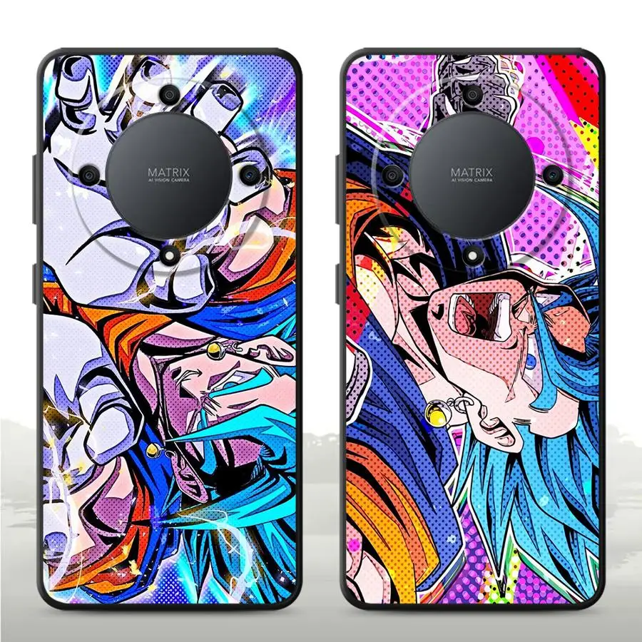 Dragons Balls Case …