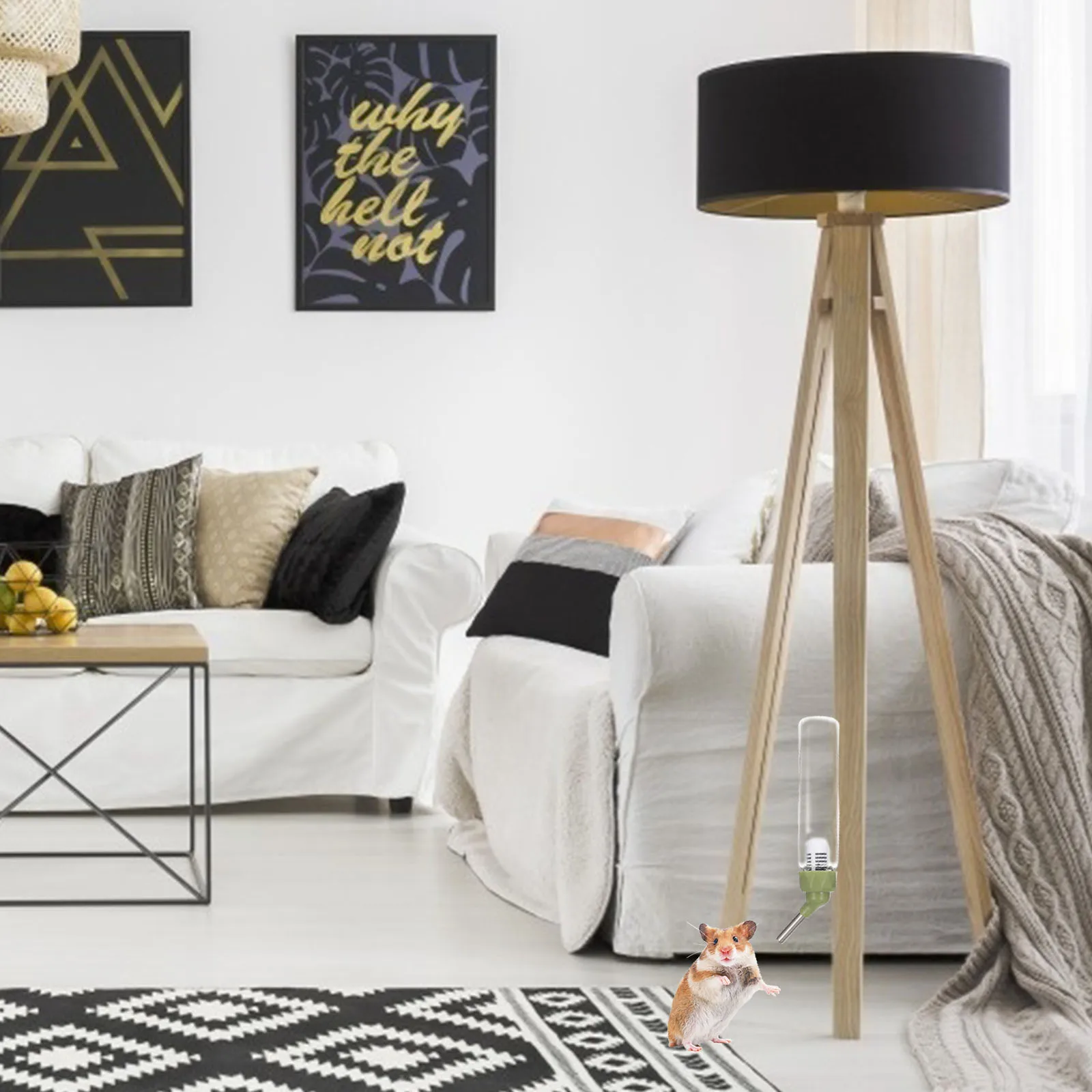 

2pcs Hamster Automatic Feeder Durable Leak-Proof Dispenser Transparent Bunny Water Bottle Hanging Design For Pet Cage Compatible