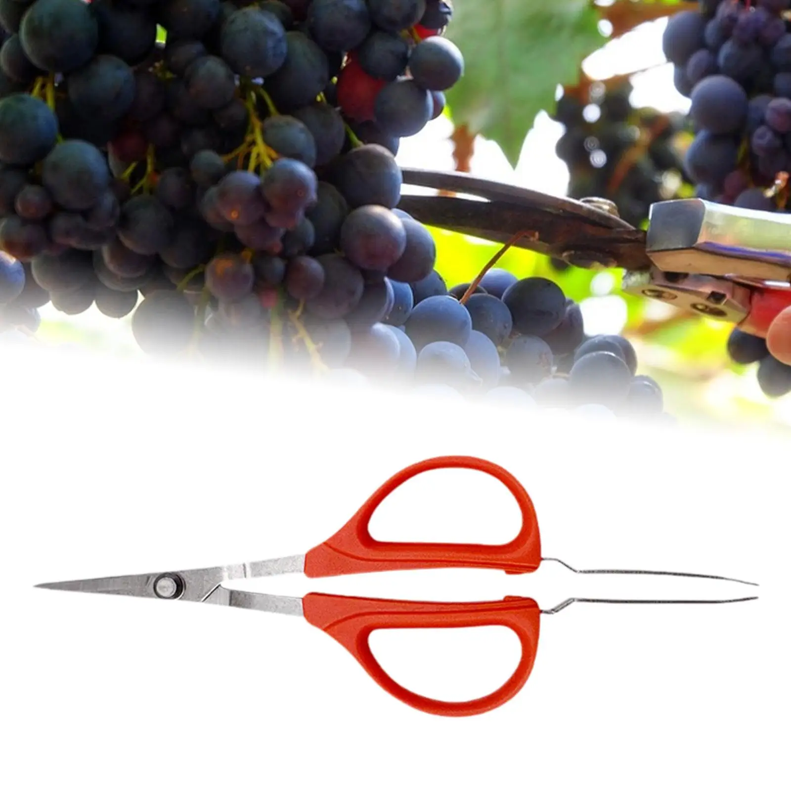 Garden Scissors Deadheading Farm Harvesting Portable Grape Picking Scissors