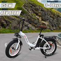 E Bike Folding 750W Powerful Motor 48v40Ah Lithium Battery Electric Bike Hydraulic Brake 20*4.0 Inch Fat Tire Electric Bicycle