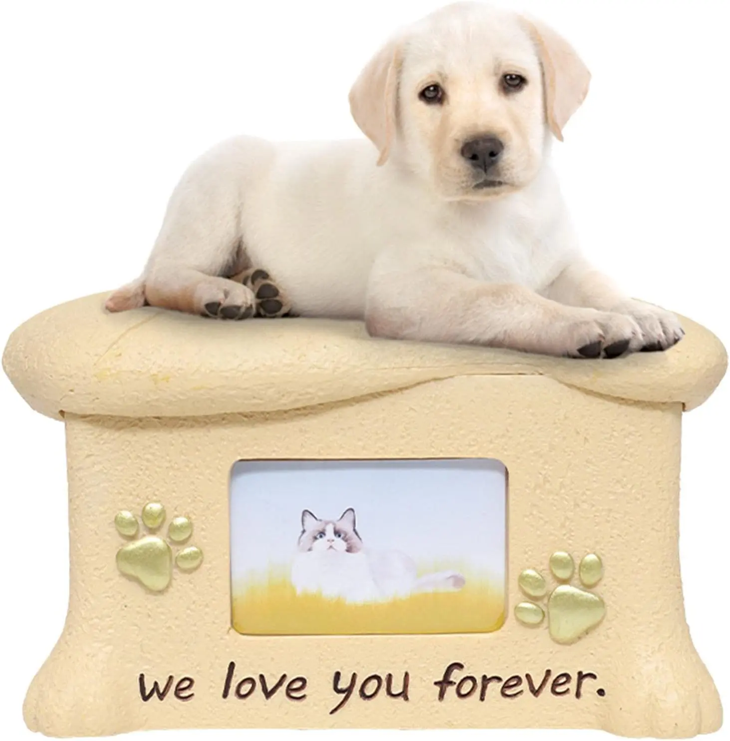 Cremation Pet Urn for Dog and Cat Ashes, Eco-Friendly Resin Memorial Cremation, High Quality