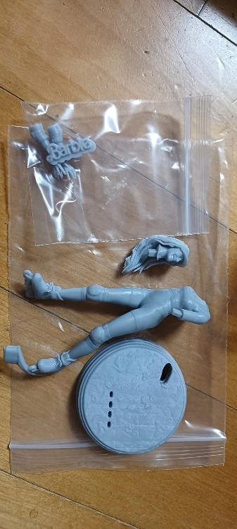 Buyer photo of this resin kit