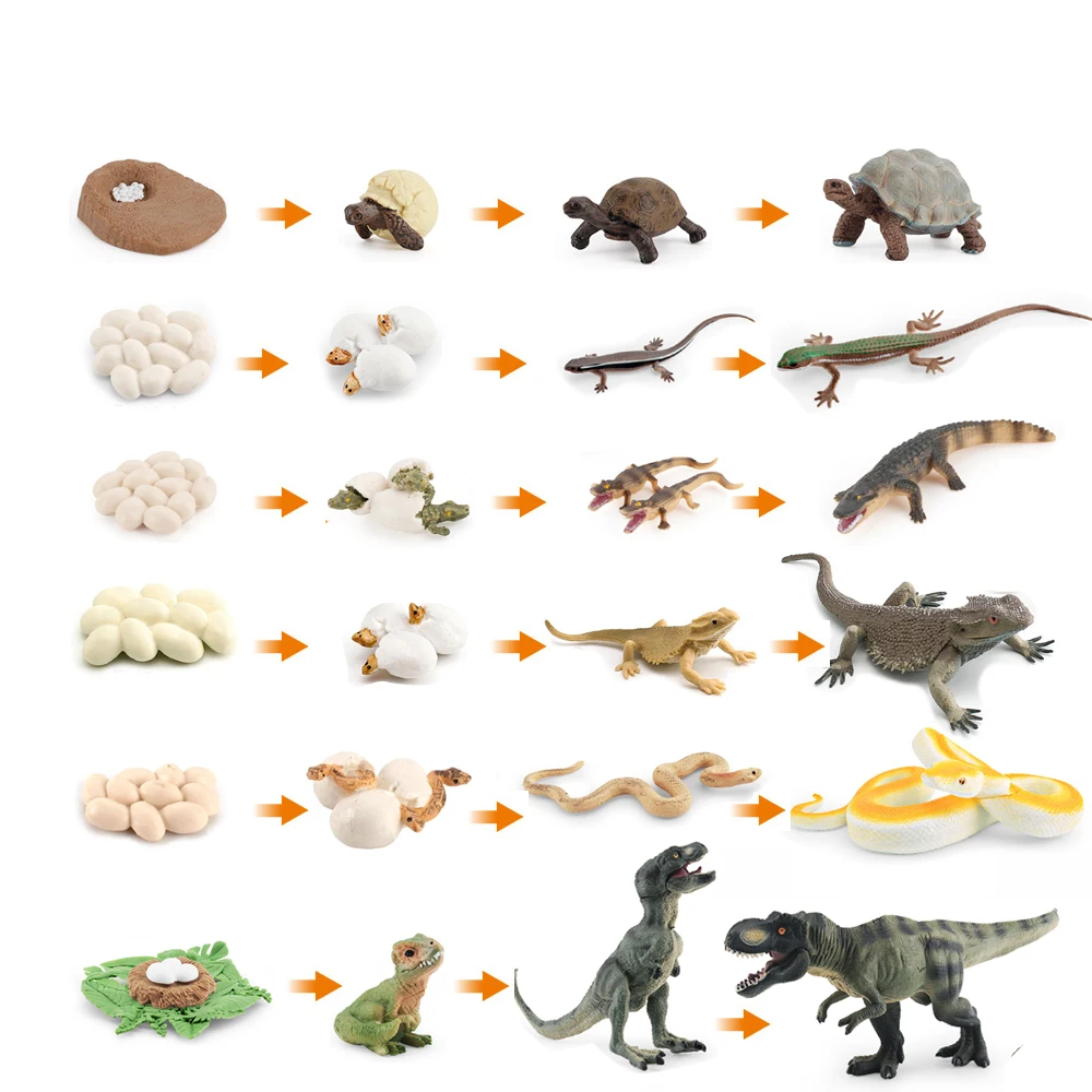 AliExpress ONLYFIGURES Simulation Dinosaur Lizard Turtle Snake Crocodile  Growth Life Cycle Model Action Reptile Animal Figures Education Miniature Toy