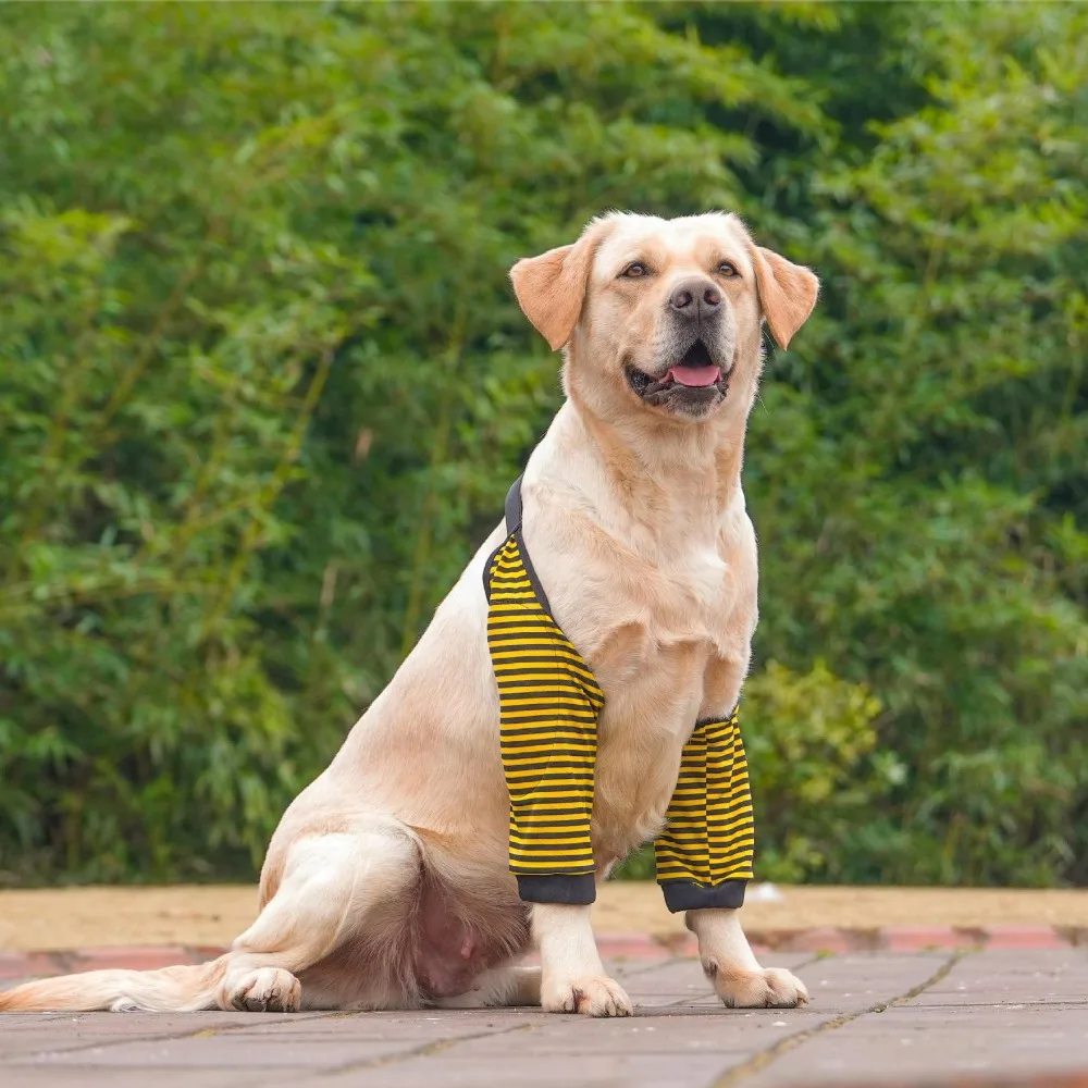 

Cartoon Pattern Dog Elbow Sleeves Cotton Brace Dog Elbow Protector Shoulder Support Soft Pet Knee Pads for Elbow Brace