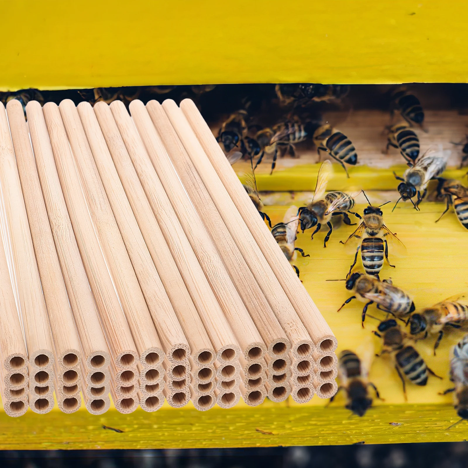 

50pcs Bamboo Bee Tubes Replacement for Beekeeping Supplies Nesting Mason Inserts DIY Beehive Tools Gardening Accessories