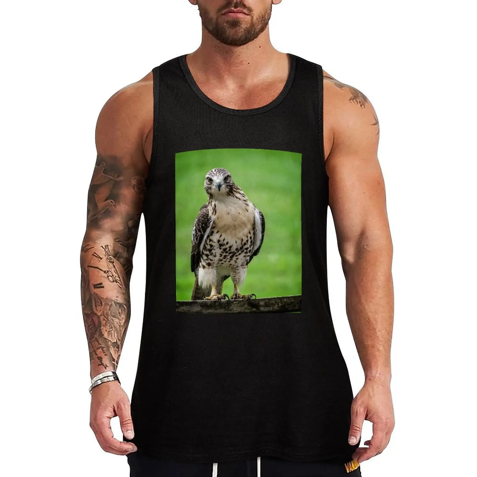 Beautiful Red Tail Hawk On A Railing Tank Top Basic Everyday Tank Top Regular Fit Soft Undershirt