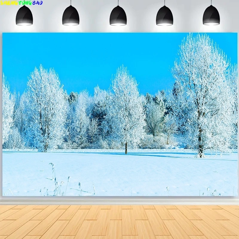 Winter Forest Snowc…