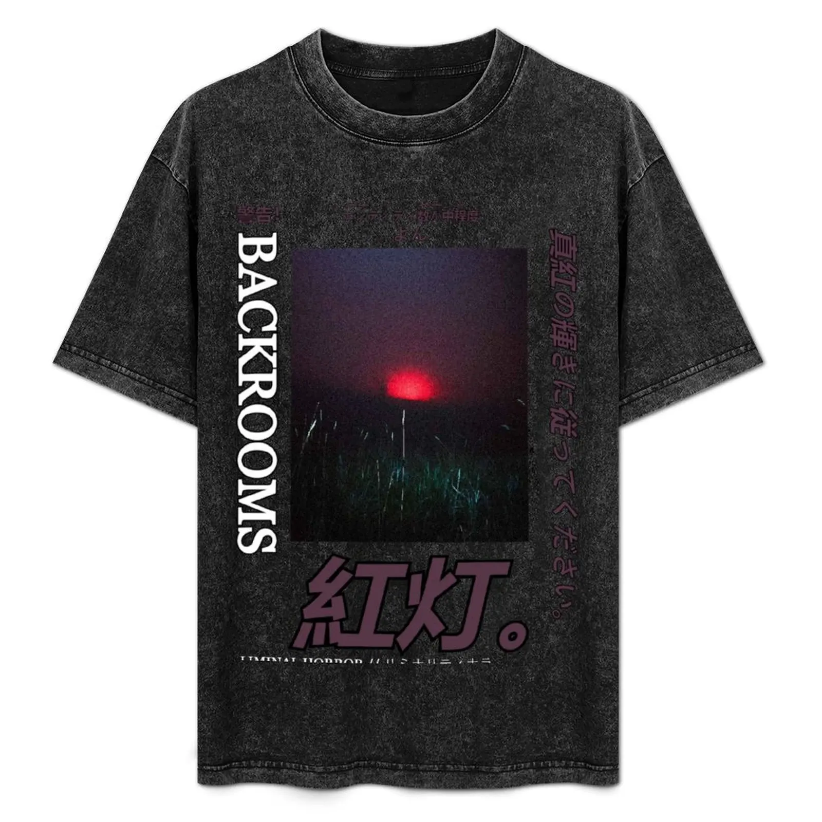 

Backrooms - level 9.1 T-Shirt Lightweight Print T-Shirt