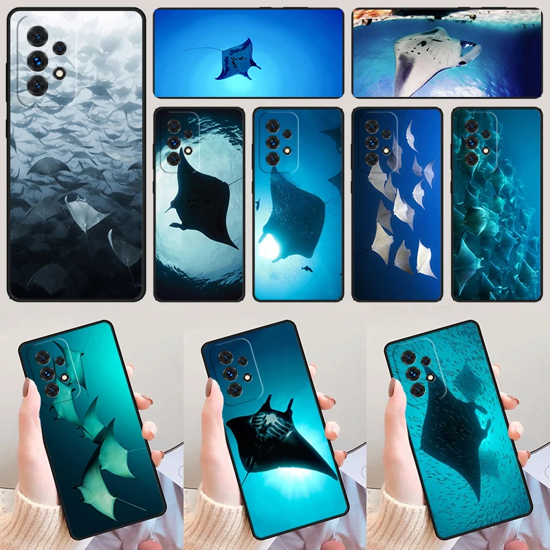 Animal Manta Ray Ph…