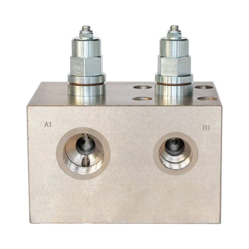 

Manufacturer Direct Supply Dual Counterbalance Valve Block Customised Control Valve Set