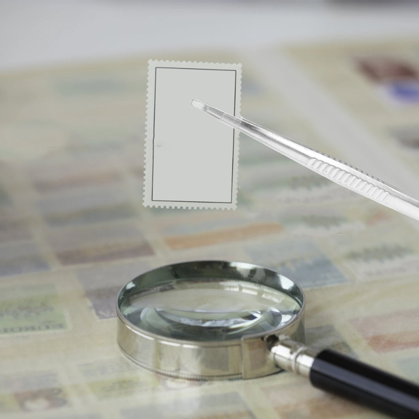 

Stainless Steel Specimen Spreading Tweezer Ergonomic Design for Stamp Handling Collector Tweezer Fine Tip Non-Magnetic Precision