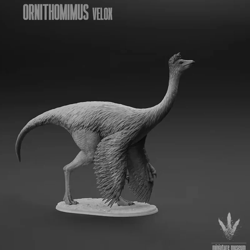 

1/35 15cm Ornithomimus Model Toy Modern Animals Model Gk Customize 3D Printing