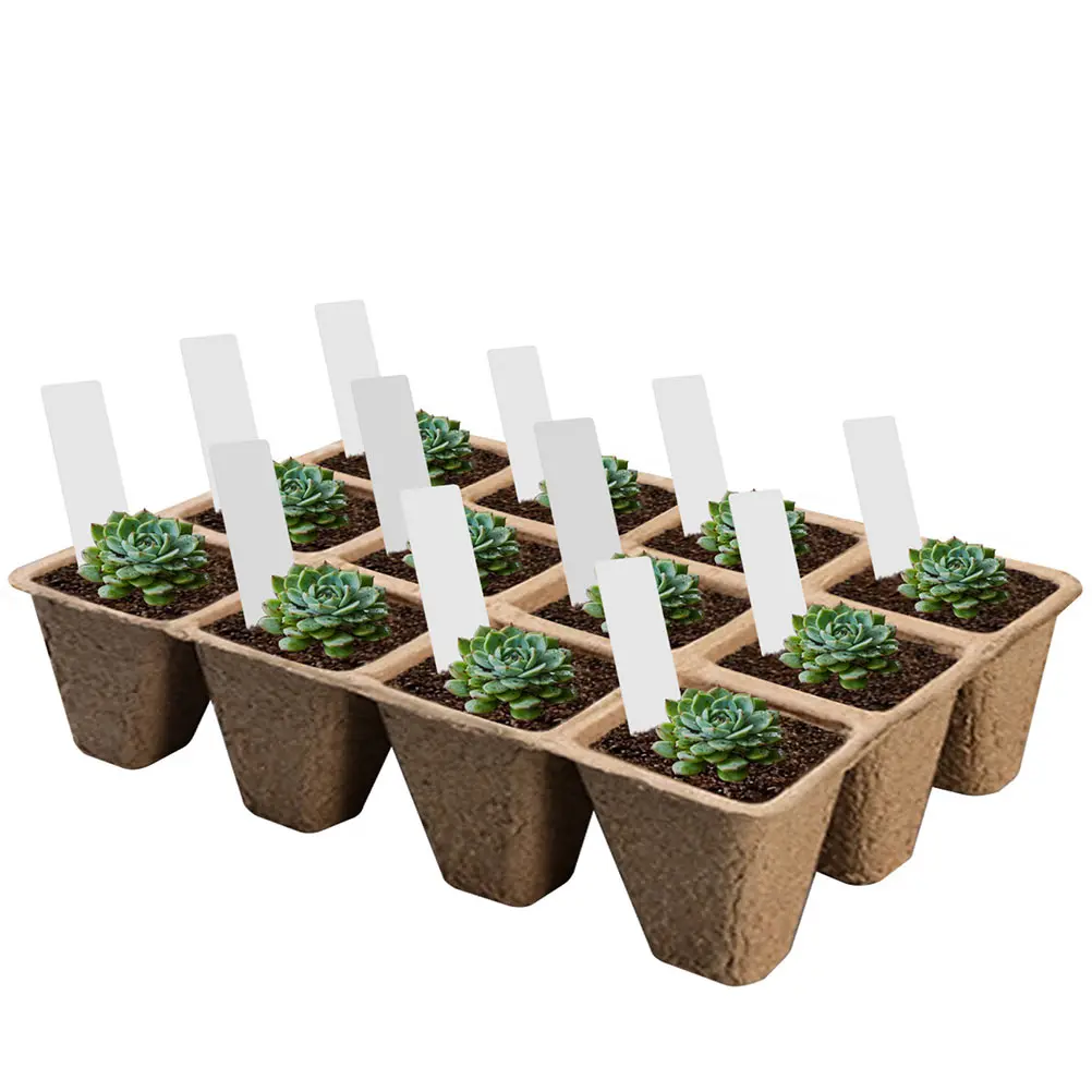 

Nursery Cup Set Seedling Cultivation Plant Nutrition Planting Square Recycled Pulp Simple Pot