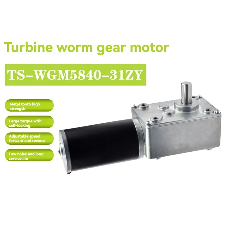 RISE-5840-31ZY Turbo Worm Encoder Micro DC Motor Self-Locking, Speed Control, 12V High Torque Reduction Gear Motor 12V12RPM