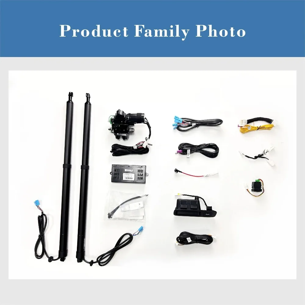 Exclusive Production Worldwide Electric Tailgate Hydraulic Electric Tailgate for CR-V Custom  Compression Price