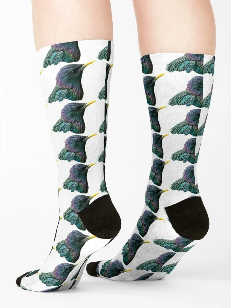 Meine Sternen socken Rugby Hip Hop Socken männliche Frauen