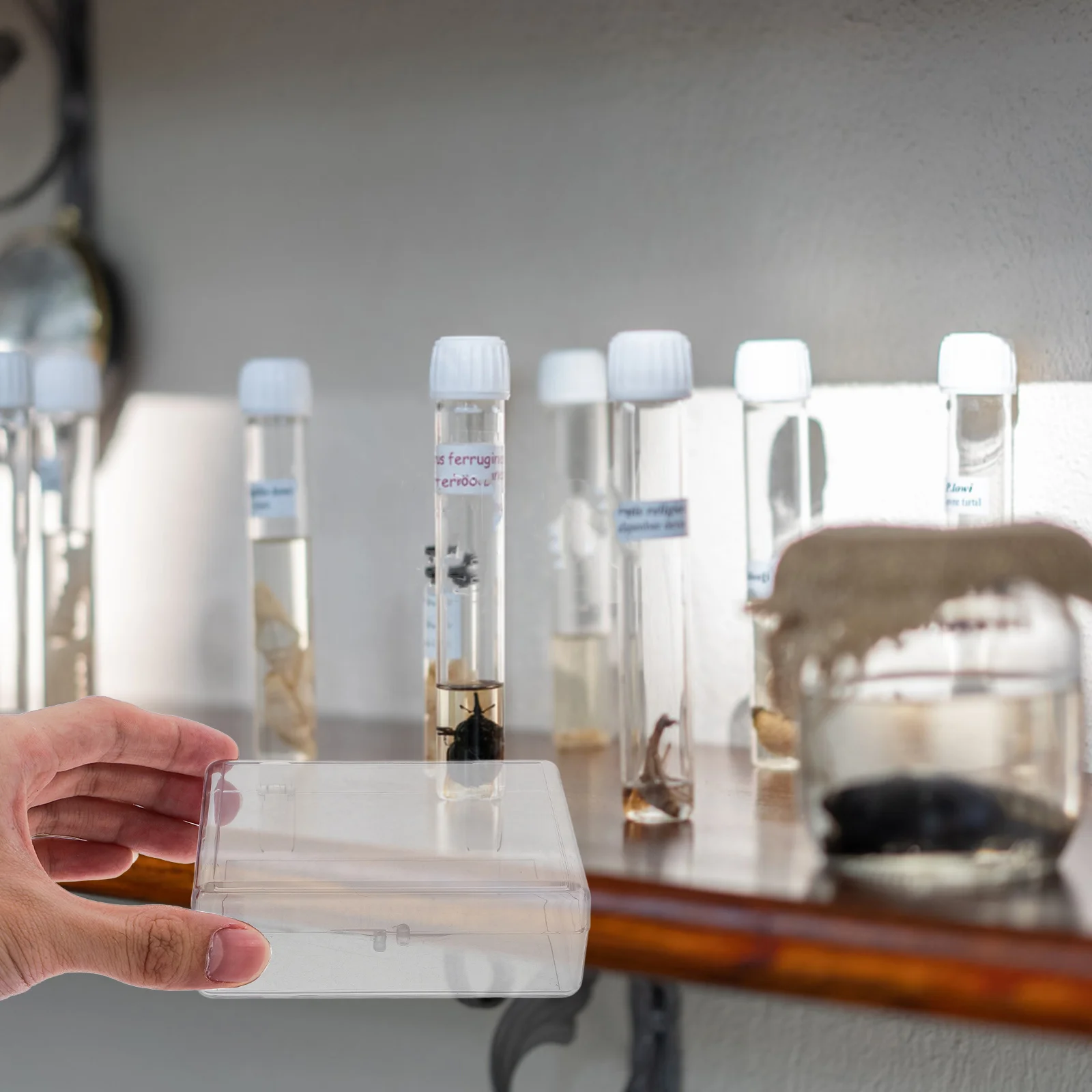 

1pcs Transparent Storage Display Case For Jewelry Lapel Pins Badges Brooches Specimen Holder Organizer Portable Multi-Use Case